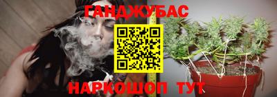 сатива Вязники