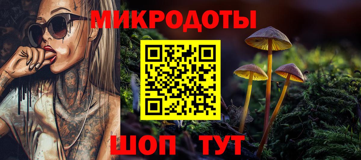Волжский  Псилоцибиновые грибы Cubensis  Вход с VPN 