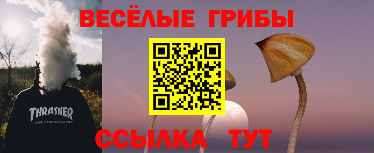 Псилоцибиновые грибы Psilocybe Волжский